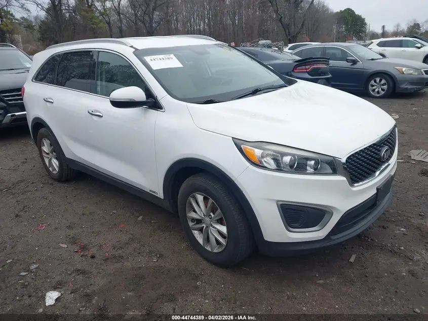 2016 KIA SORENTO White VIN: 5XYPGDA30GG066644