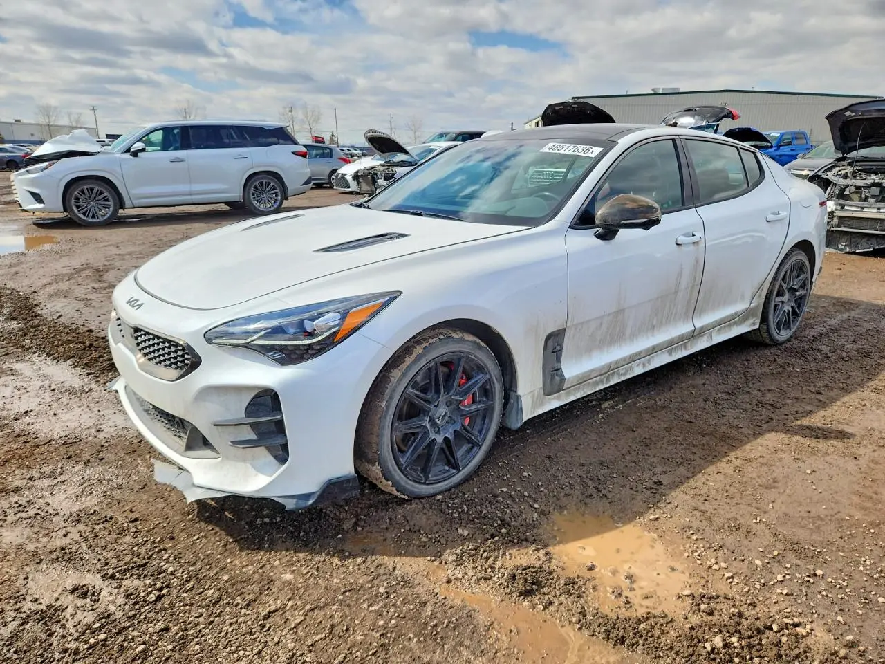 2022 KIA STINGER WHITE VIN: KNAE55LC3N6108544