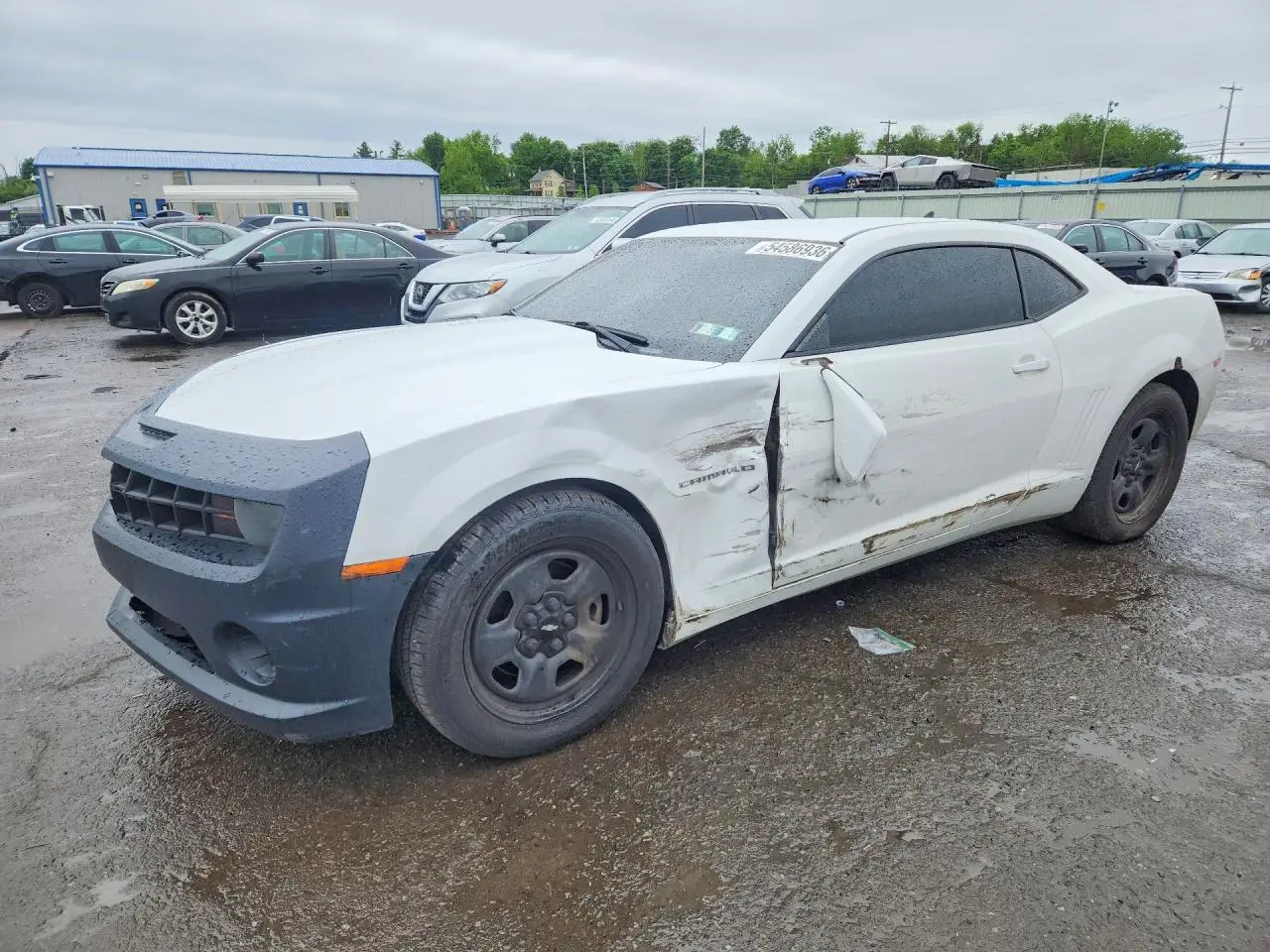 2013 CHEVROLET CAMARO WHITE VIN: 2G1FA1E38D9147946